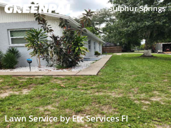 Lawn Care Service nearby Tampa, FL, 
