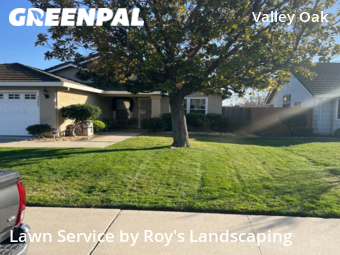 Lawn Maintenance nearby Stockton, CA, 