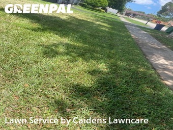 Lawn Mow nearby Cooper City, FL, 