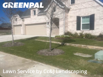 Grass Cut nearby Heath, TX, 