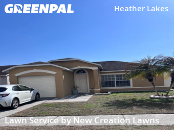 Lawn mowed in Brandon, 33511