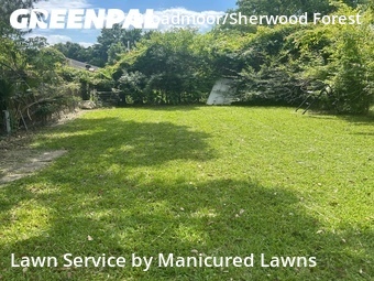 Grass Cut nearby Baton Rouge, LA, 