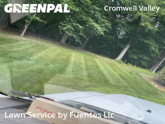 Grass Cut nearby Towson, MD, 