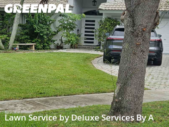 Lawn Mowingin Sunrise,33351,Grass Cutting by Deluxe Services By A, work completed in Dec , 2025