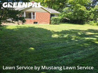 Grass Care in Brookfield, 44403, Yard Grooming by Mustang Lawn Service, work completed in Oct , 2025