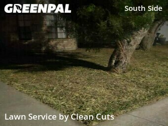 Grass Cut nearby Corpus Christi, TX, 