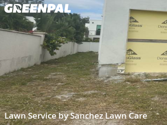 Lawn Management in Sarasota, 34239, Yard Care by Sanchez Lawn Care , work completed in Nov , 2025