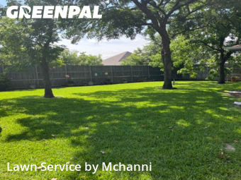 Lawn Care Servicein Hurst,76053,Lawn Mowing by Mchanni, work completed in Nov , 2025