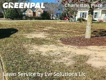 Lawn Cutting nearby Wilson, NC, 