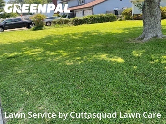 Lawn Cutting nearby Virginia Beach, VA, 
