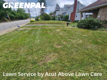 Lawn Maintenance nearby Bridgeville, PA, 