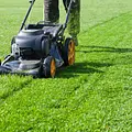 Express Lawnmower Shop 3