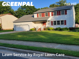 Grass Cut nearby Hampton, VA, 