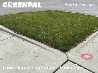 Lawn Care Servicein Chicago,60617,Grass Cut by Lamars Lawn Care, work completed in Jun , 2026