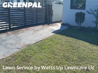 Grass Cut nearby Opa Locka, FL, 