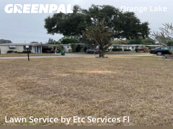 Yard Cuttingin Largo,33773,Grass Cut by Etc Services Fl, work completed in Dec , 2025