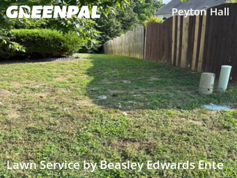 Yard Cutting nearby Raleigh, NC, 