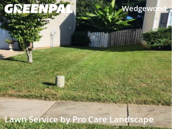 Grass Cut nearby Charlotte, NC, 