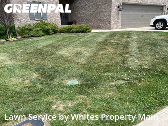 Lawn Mowing nearby Tennessee, TN, 