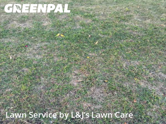 Lawn Management in West Allis, 53219, Yard Services by L&J’s Lawn Care , work completed in Nov , 2025