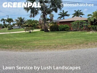 Lawn Cut nearby Cape Coral, FL, 