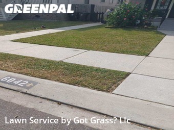 Grass Cut nearby New Orleans, LA, 