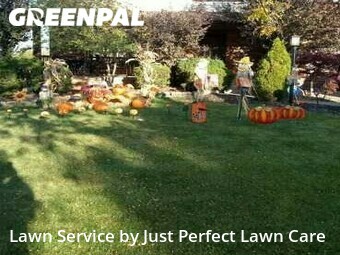 Lawn Mow nearby Parma, OH, 