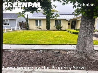 Grass Cut nearby San Jose, CA, 