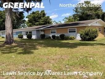 Grass Cut nearby Orlando, FL, 