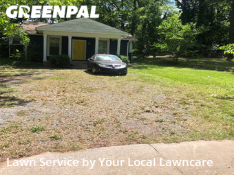 Grass Cut nearby Rock Hill, NC, 