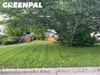 Grass Cutting nearby Snellville, GA, 
