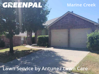 Lawn Mow nearby Fort Worth, TX, 