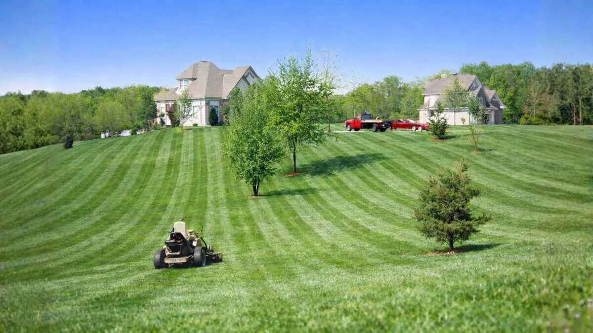  What services offer transparent pricing for lawn care without requiring estimates?