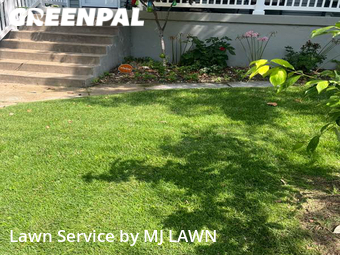 Lawn Care Service nearby Maplewood, MO, 
