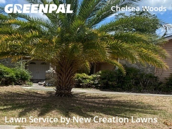 Lawn Service nearby Valrico, FL, 