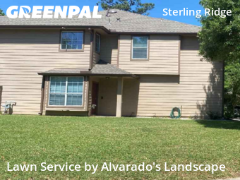 Lawn Servicein The Woodlands,77382,Lawn Maintenance by Alvarado's Landscape, work completed in Dec , 2025