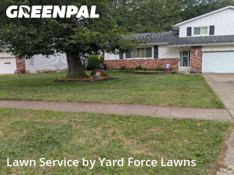 Lawn Cutting in Lorain, 44053, Backyard Mowing by Yard Force Lawns, work completed in Nov , 2025