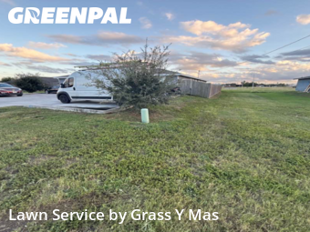 Lawn Mowing nearby Harlingen, TX, 