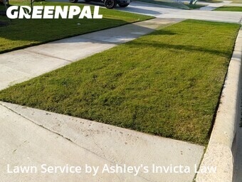 Grass Cut nearby Killeen, TX, 