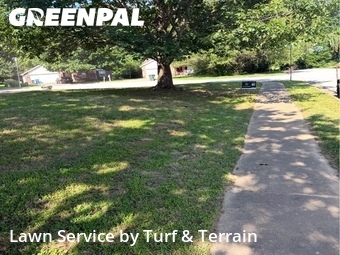Lawn mowed in Fayetteville, 72701