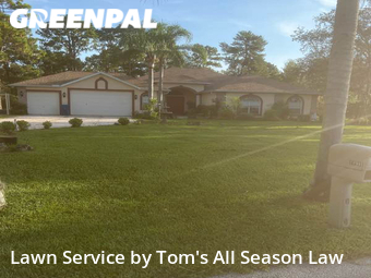 Lawn Cut nearby Spring Hill, FL, 