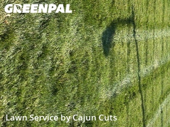 Lawn Care Service nearby Murfreesboro, TN, 