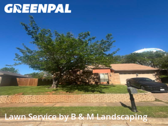 Grass Cut nearby Bedford, TX, 