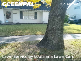 Lawn Care nearby New Orleans, LA, 