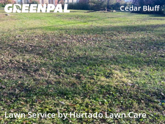 Lawn Cutting nearby Knoxville, TN, 