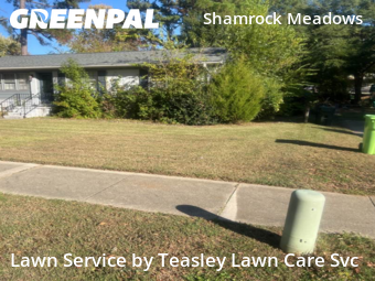 Grass Cut nearby Raleigh, NC, 