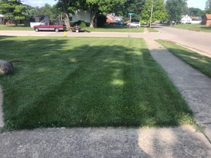 Hibbard Lawncare Lawn Care Services in Hamilton, OH