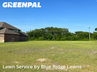 Yard Cutting nearby Mc Kinney, TX, 