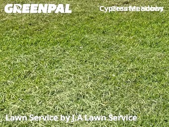 Grass Cutin Katy,77449,Yard Cutting by J.A Lawn Service, work completed in Feb , 2026