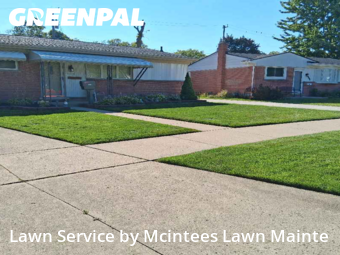 Grass Cut nearby Southgate, MI, 